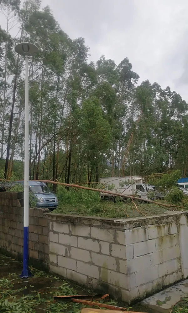 After Super Typhoon Mangkhut in 2018