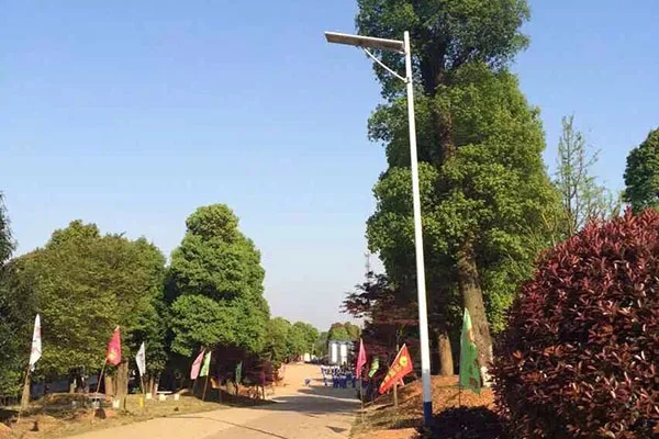 project China 30W 7meter for country road